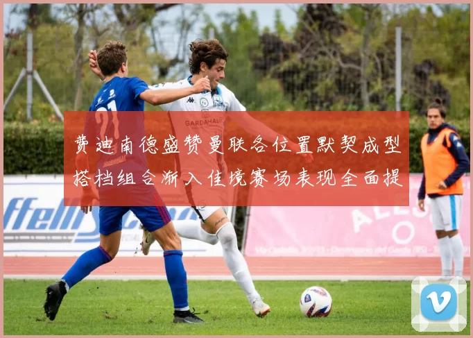 费迪南德盛赞曼联各位置默契成型搭档组合渐入佳境赛场表现全面提升
