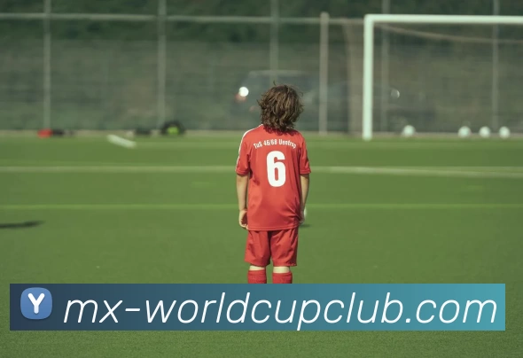 多媒体互动体验