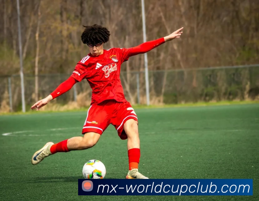 世俱杯体育投注APP 高清赛事图